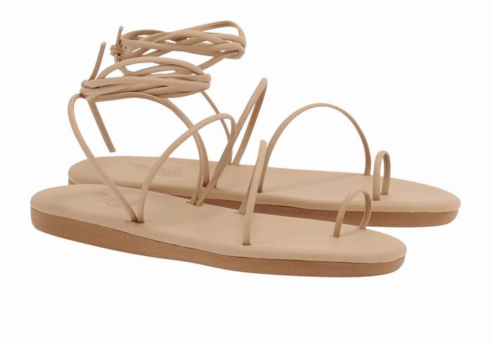 Sandales Toe-Post Ancient Greek Sandals Du   | MTH-1039962